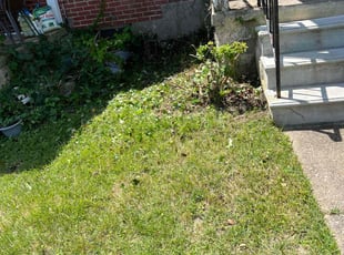 Weeding by Dimas Lopez for Elizabeth M. in Baltimore, MD
