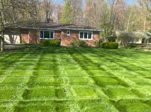 Lance T.'s Lawn Mowing Service service result