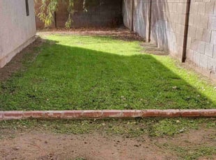Glen L.'s Lawn Service service result