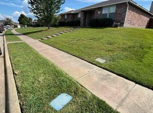 Juan G.'s Yard Cutting service result