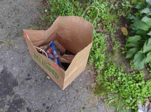 Cleanups by Matthew Spinelli for Mika M. in Bridgeport, CT