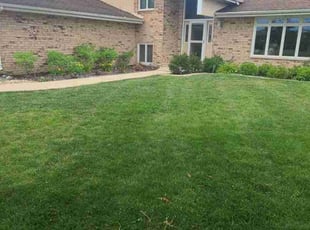Denise T.'s Lawn Care service result