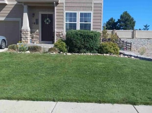 Bush Trimming by Joseph Banes for Stefanie L. in Colorado Springs, CO
