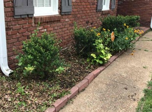 Weeding by Vonshay Boyd for Harold M. in Memphis, TN