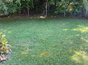 George W.'s Lawn Care service result
