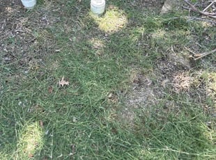 Cleanups by Rhett Lambas for Andrea C. in Haltom City, TX