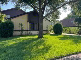 Godwin N.'s Lawn Mowing service result