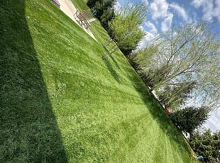 Teresa H.'s Lawn Care service result