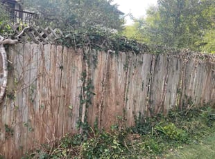 Cleanups by Tim Kirkpatrick for Morgan E. in Lee's Summit, MO