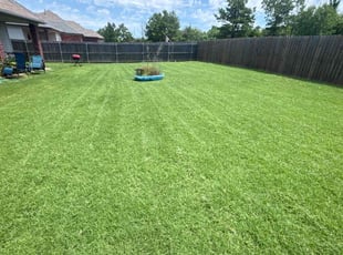 Brandy M.'s Yard Cutting service result