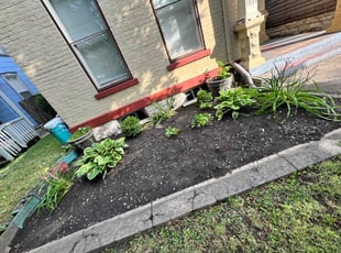 Weeding by Kyran Bishop for Kandee H. in Dayton, OH