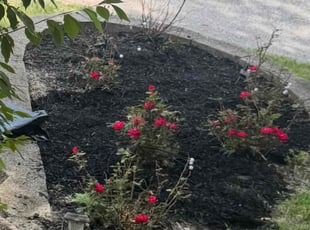 Mulching by Home Lawn Care Services Mahome for Marjorie C. in Gary, IN