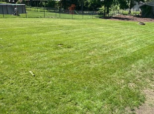 Jeff B.'s Lawn Mowing service result