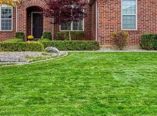 Bush Trimming by Michelle Conner for Vito B. in Oakland charter Township, MI