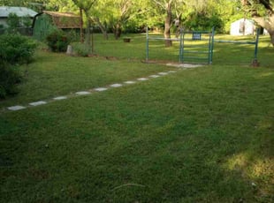 David A.'s Yard Cutting service result