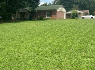 Elizabeth B.'s Lawn Care service result