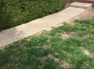 Bush Trimming by David Sigmon for Ryan S. in Wichita, KS