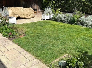 Erin r.'s Lawn Mowing service result
