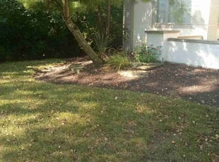 Weeding by Ramon Jones for Rex B. in Westerville, OH