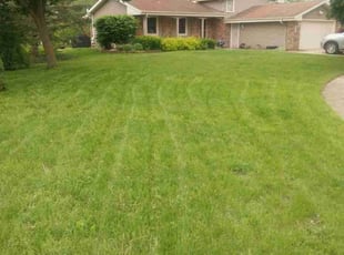 Chris c.'s Grass Cutting service result