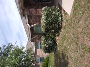 Bush Trimming by Aundra Thomas for Emmanuel B. in Arlington, TX