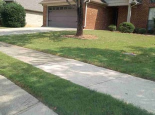 Brian J.'s Grass Cutting service result