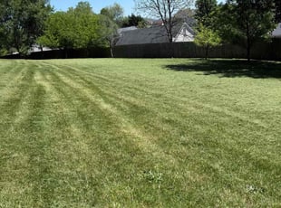 Kay A.'s Lawn Maintenance service result
