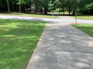 Terri H.'s Lawn Service service result