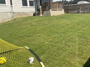 Ken D.'s Lawn Mowing service result