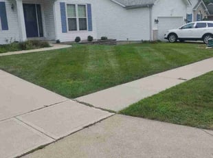 Billy T.'s Lawn Mowing service result