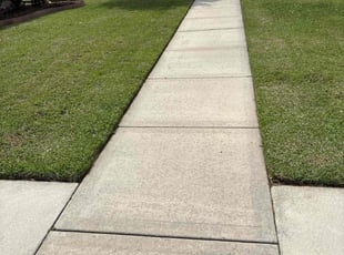 Leidy M.'s Lawn Mowing service result
