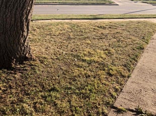 Leaf Removal by Charles Janousek for Sandra R. in Council Bluffs, IA
