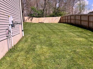 Joey C.'s Lawn Mowing service result