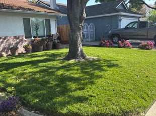 Wally T.'s Lawn Service service result