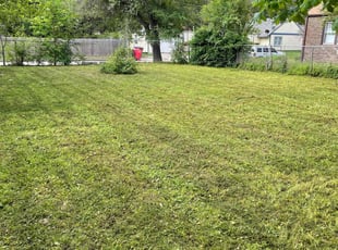 William K.'s Lawn Mowing Service service result
