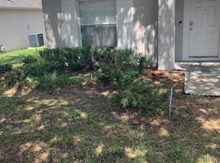 Bush Trimming by Jordan Davis for Dennette T. in Davenport, FL