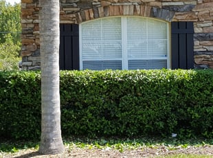 Bush Trimming by Willie Carmichael for Elisha R. in Sanford, FL