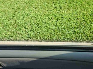 Shawna P.'s Lawn Mowing Service service result