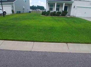 Darryl H.'s Yard Cutting service result