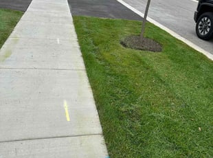 Matthew M.'s Lawn Maintenance service result