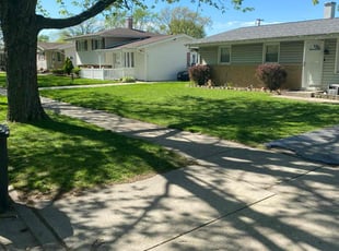 Angela F.'s Lawn Service service result