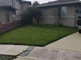 Mariah r.'s Grass Cutting service result