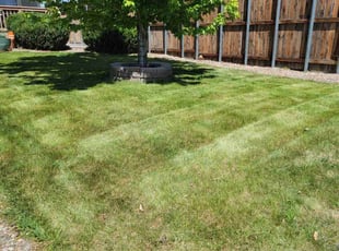 Linda V.'s Lawn Mowing Service service result