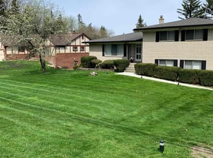 Emanuel Z.'s Lawn Service service result