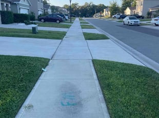 Stephanie H.'s Yard Cutting service result