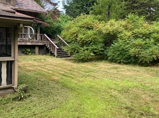 Joyce T.'s Lawn Maintenance service result