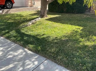 David B.'s Lawn Mowing Service service result