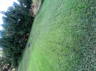 Pat J.'s Lawn Service service result