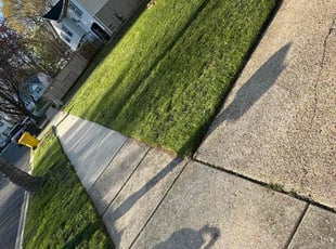 Paul L.'s Lawn Service service result
