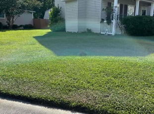 Natalie S.'s Grass Cutting service result